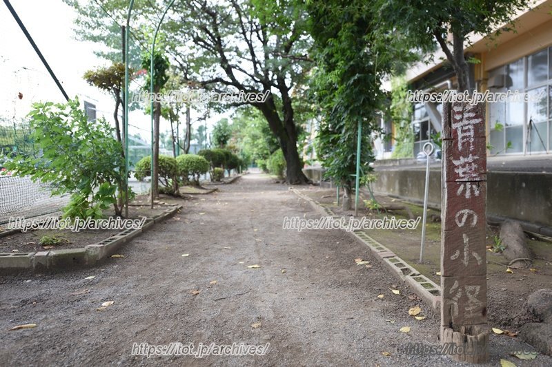木々の緑や花を楽しむことができる「青葉の小径」