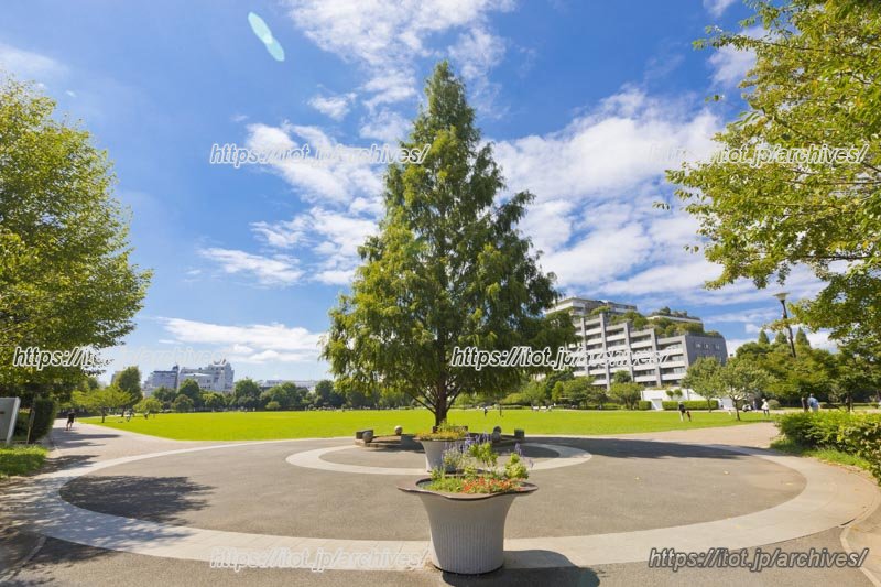 「桃井原っぱ公園」