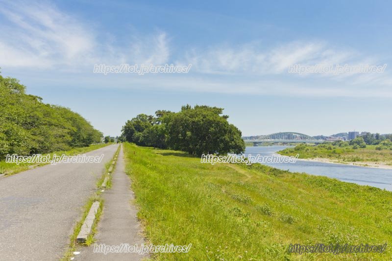 狛江付近を流れる多摩川