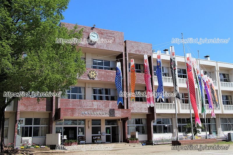 地域から寄贈された鯉のぼり