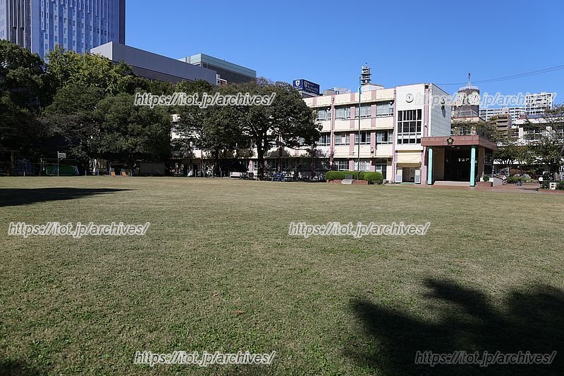 広々とした全面芝生の運動場