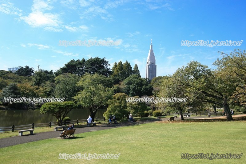 早朝から訪れたいというニーズも多い「新宿御苑」内の様子