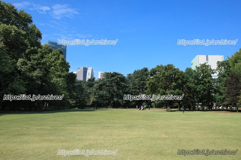 広い敷地内、ボランティアの方々とも一緒に「7-9PARK」の運営が続けられている