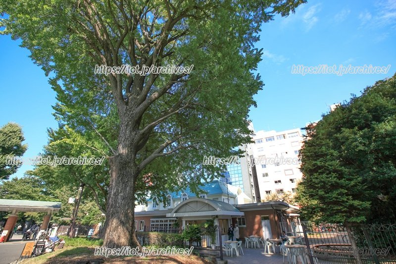 多様性を受け入れ、多くの気づきがうまれる場となりつつある