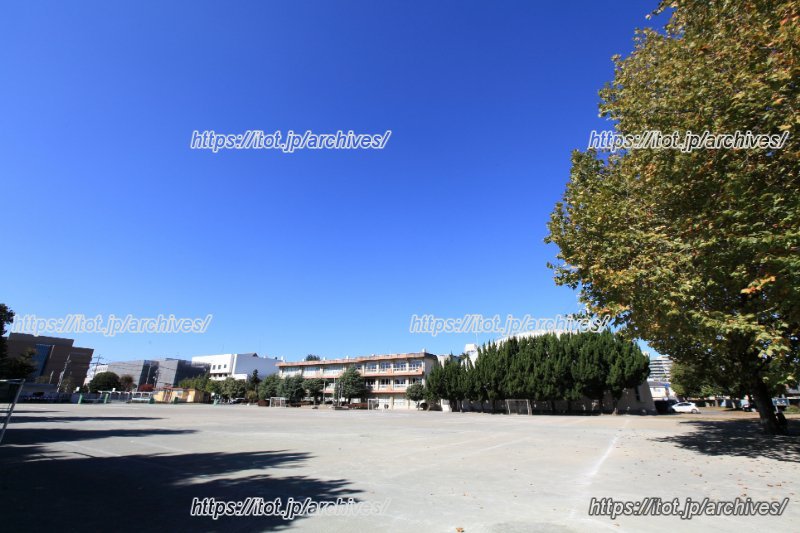 広々とした校庭