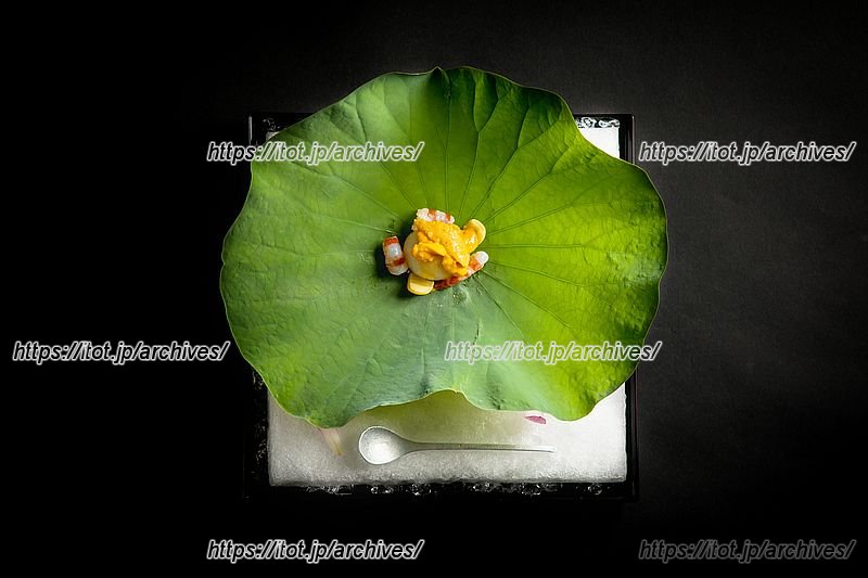 四季折々の新鮮素材を使った色鮮やかな料理　※写真提供：河文