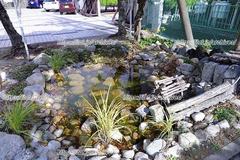 校門横にあるビオトープ