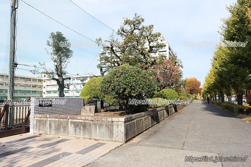 街路樹や植え込みが多く、自然豊かな学校横の通学路