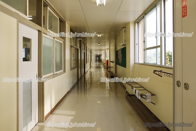 掃除が行き届いた廊下の様子