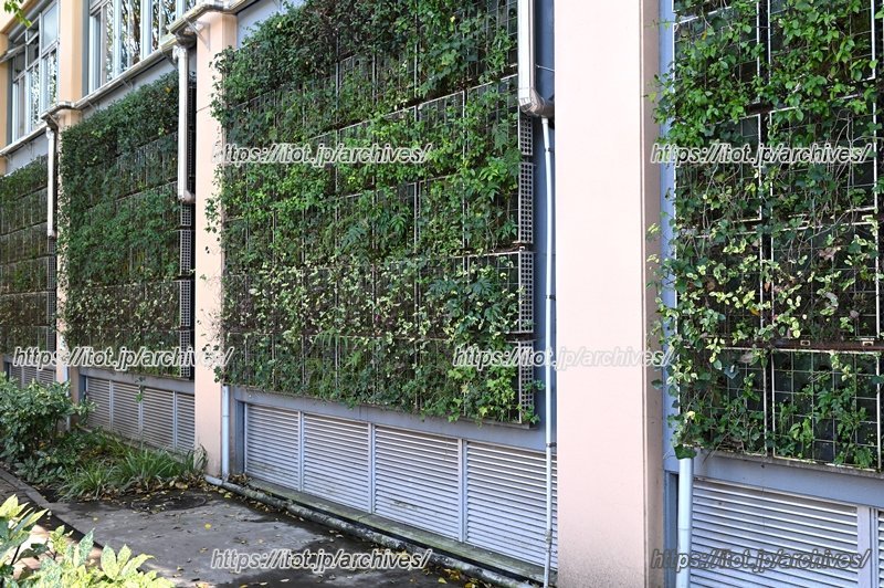 体育館の壁面緑化など、さまざまな「エコシステム」を取り入れた校舎