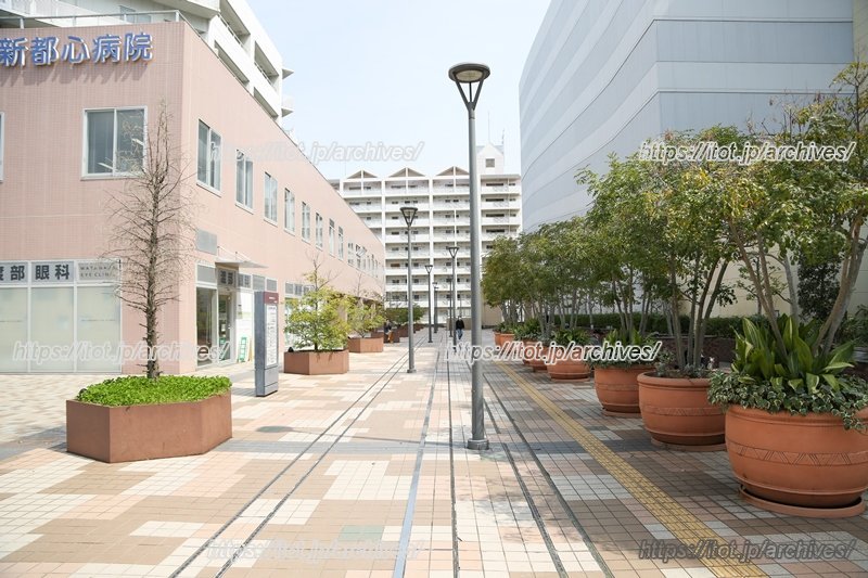 歩行者動線の「グリーン・コリダ―」