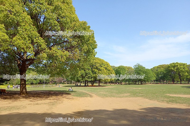 地元住民の憩いの場「行田公園」