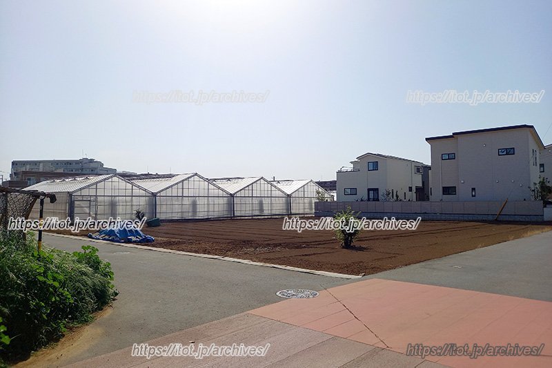 住宅地と農地が隣接する行田らしい風景
