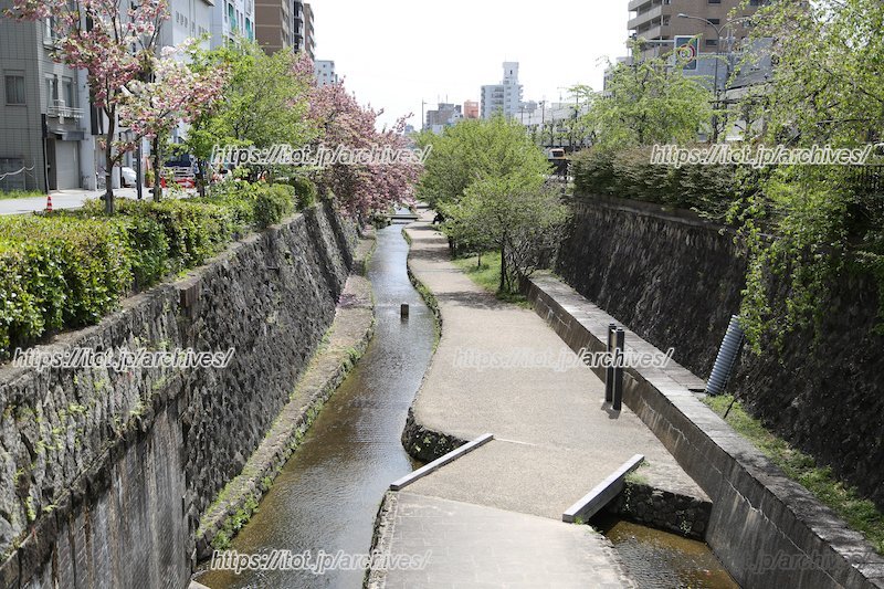 「堀川遊歩道」をはじめ、穏やかな住環境が広がる