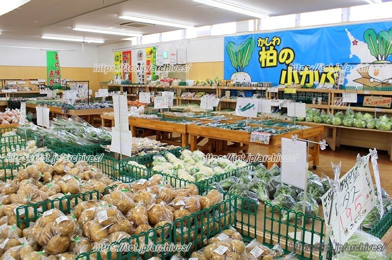 農家が丹精込めて育てた野菜が並ぶ