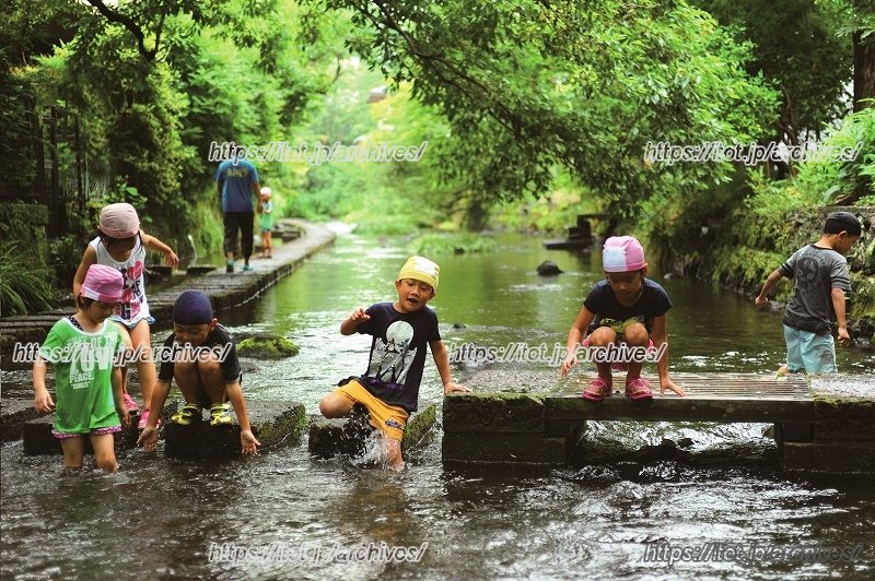 源兵衛川 水辺の道