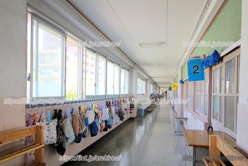 外光が射し込み明るい廊下