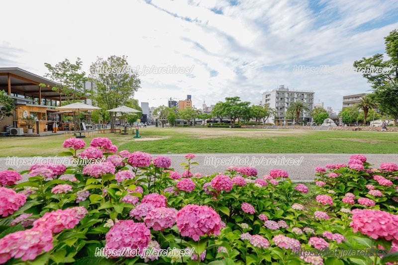 「中央公園」の様子