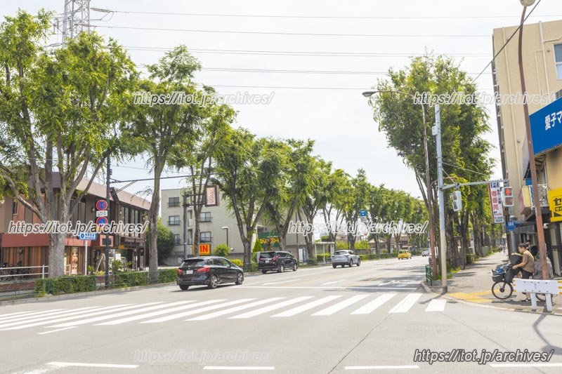 青梅街道　街並み