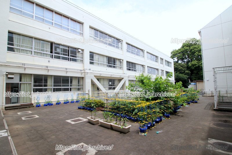 中庭には、子どもたちが育てている植物も