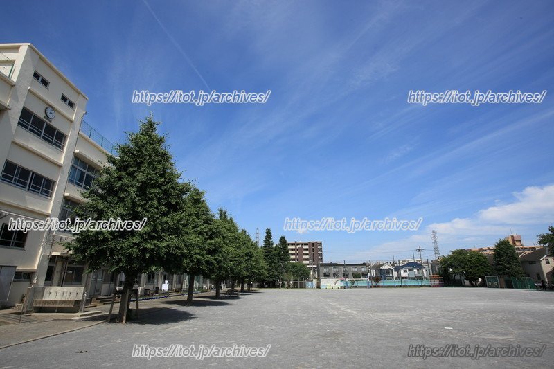 広々とした校庭