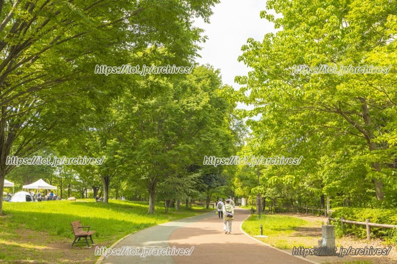 西東京いこいの森公園