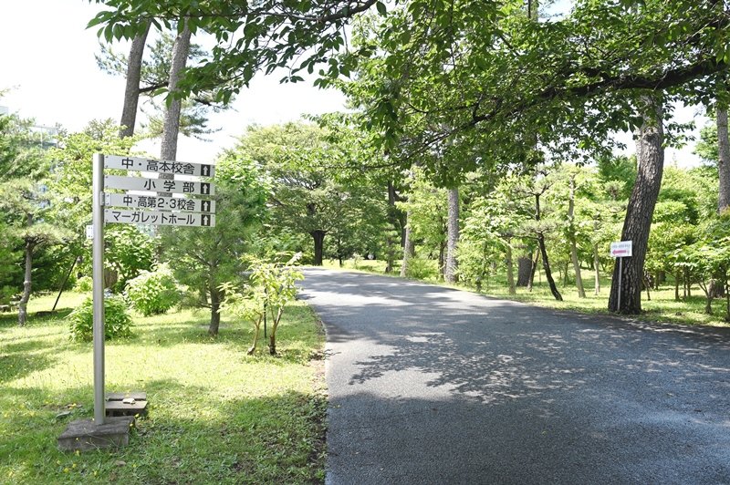 キャンパス内は緑も多く、落ち着いた雰囲気