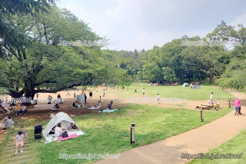 子どもたちも数多く集まる「鶴間公園」