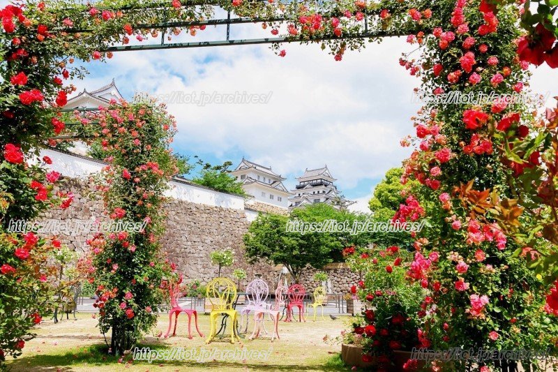 福山城とばらのアーチは、観光客にも人気の「映えスポット」となっている