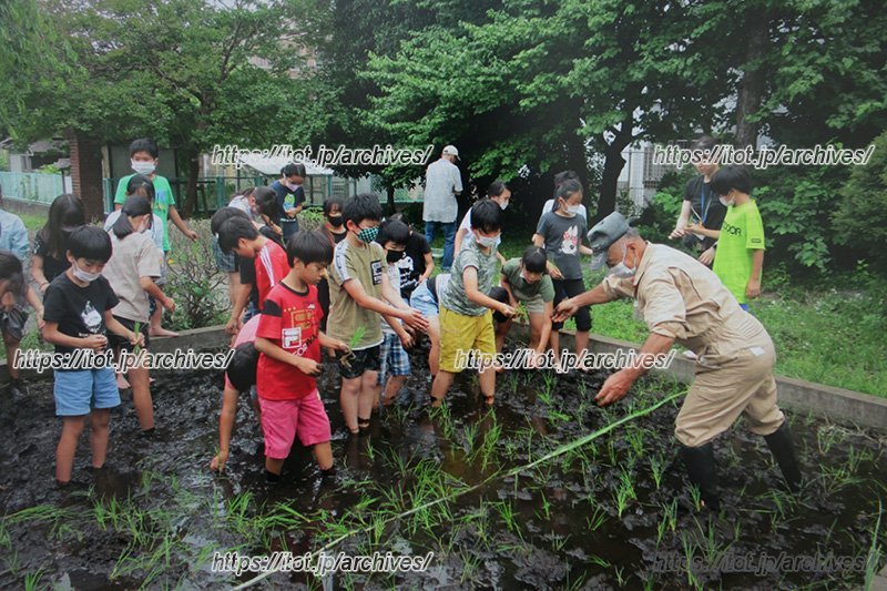 地域と連携した校外活動
