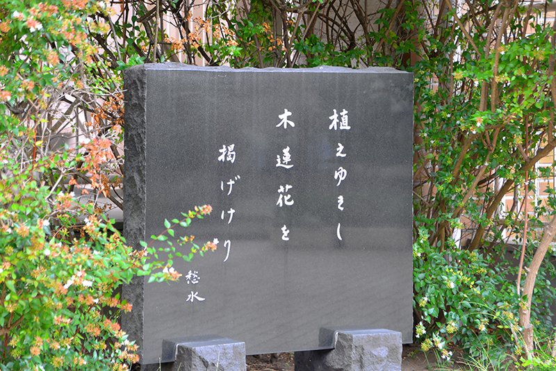 「花いっぱい運動」などの活動を通して地域住民と交流している