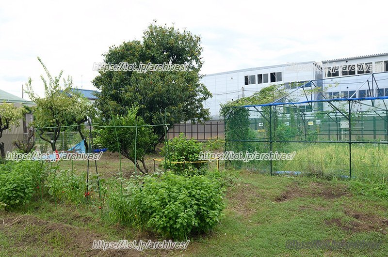 「くりりん」の農地