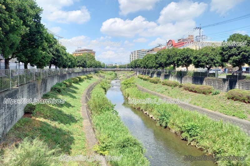 店のすぐ裏手を流れる湯殿川
