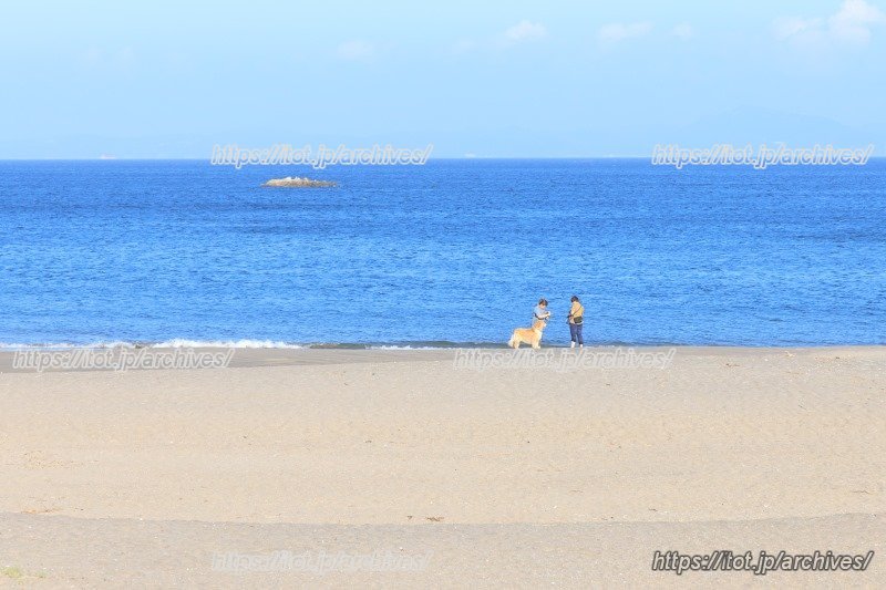 人も少なく、ゆったり過ごせる三浦海岸
