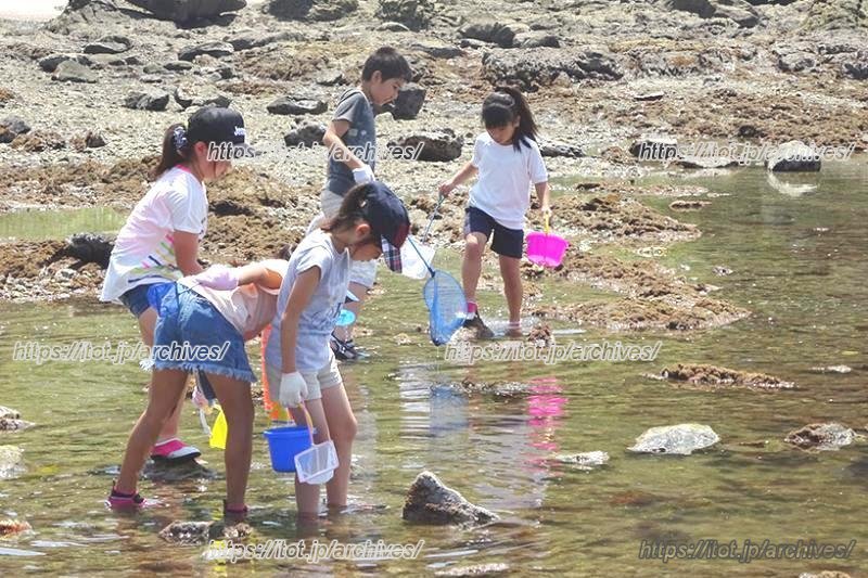 海洋教育の様子（提供：三浦市）