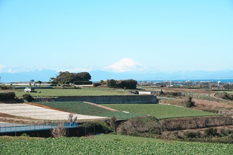 坂の上から見える富士山（提供：根岸さん）
