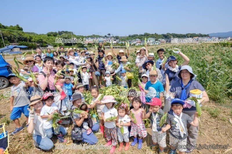 体験の様子(提供:株式会社シテコベ)