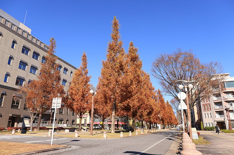 「アクト通り」