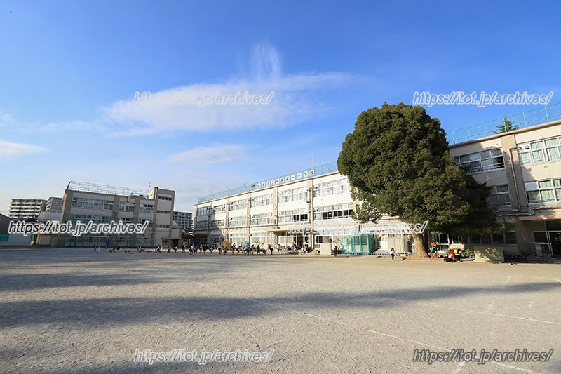 広々とした校庭では、「からだ力」を鍛えるためのプログラムがよく行われている