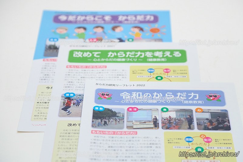 「からだ力」の研究リーフレット