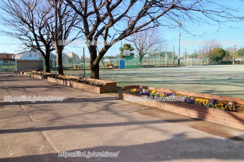 生徒と地域の人が世話をしている花壇