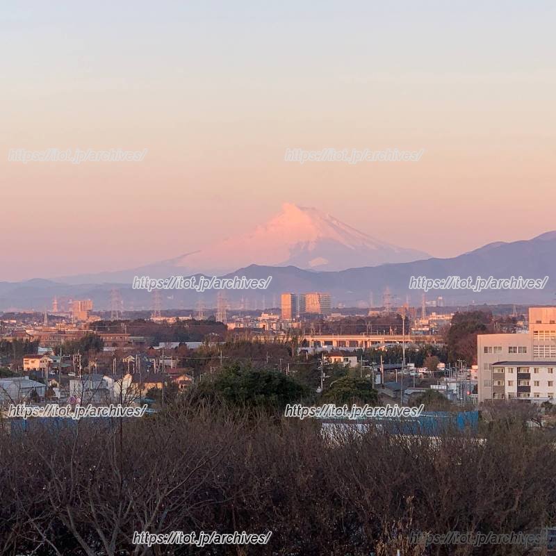 「横根稲荷神社」付近から望む富士山(引用:いずみくらし)