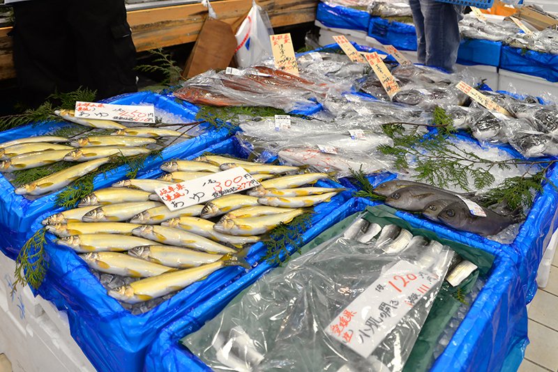 時期によって異なる旬の魚介が集まる