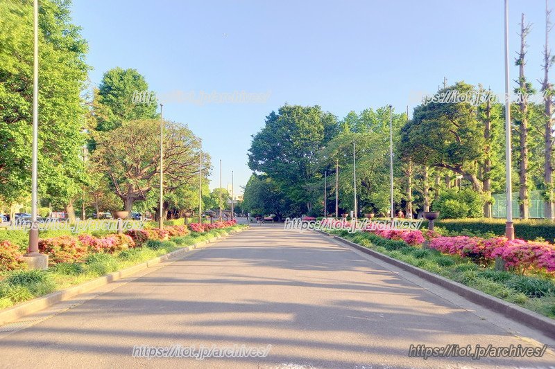 「青木町公園」