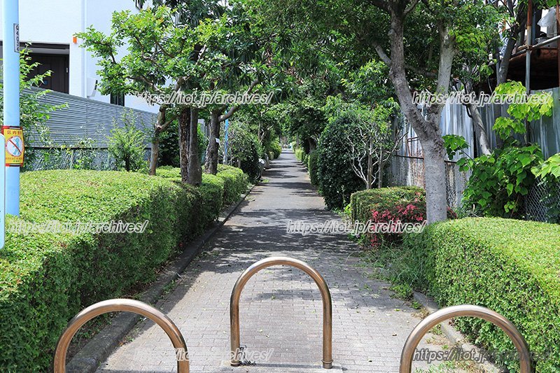 自然あふれる閑静な住宅街の杉並区