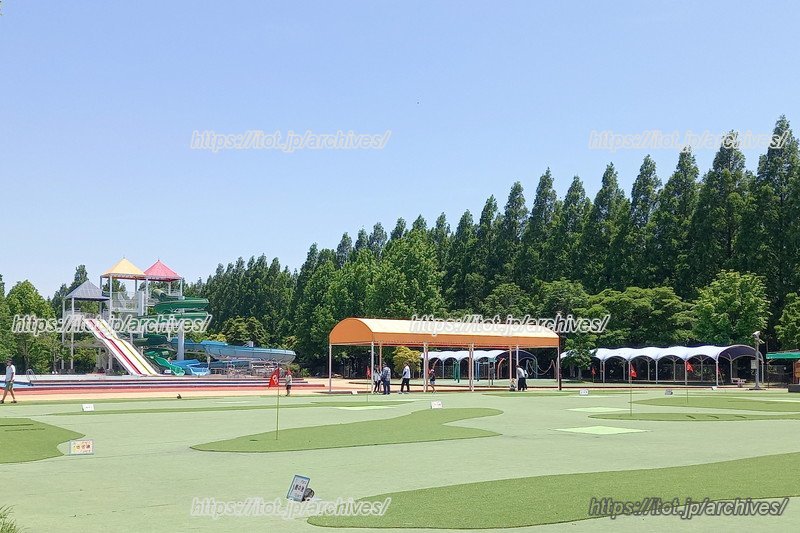 プールエリアにあるバターゴルフ場。後ろに見えるのがメタセコイア並木
