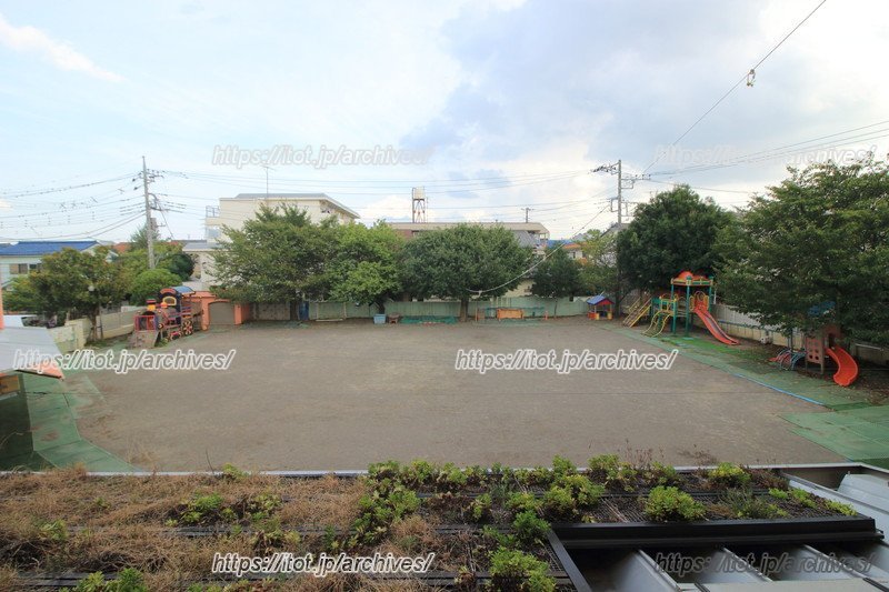 思いっきり体を動かせる、広い園庭