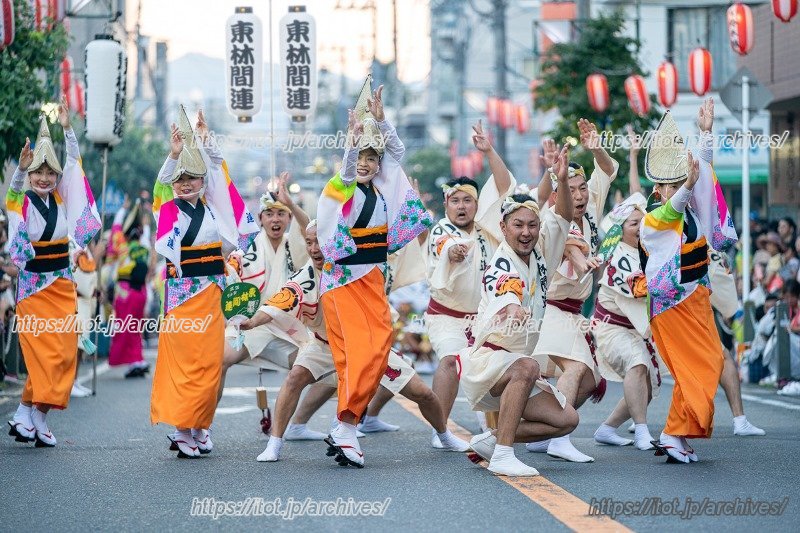 阿波踊りの様子(提供:東林間サマーわぁ!ニバル実行委員会)