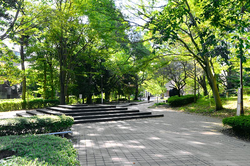 街の利便性に加えて豊かな緑があるのも町田市の魅力