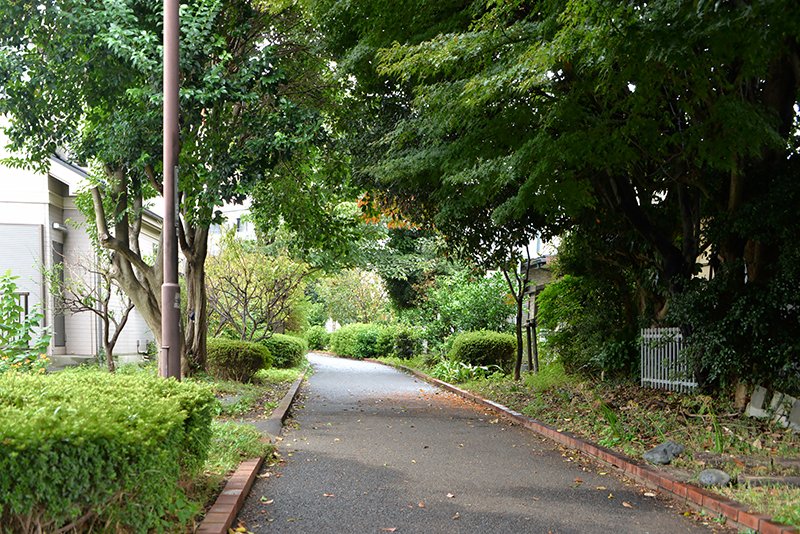館につづく緑道